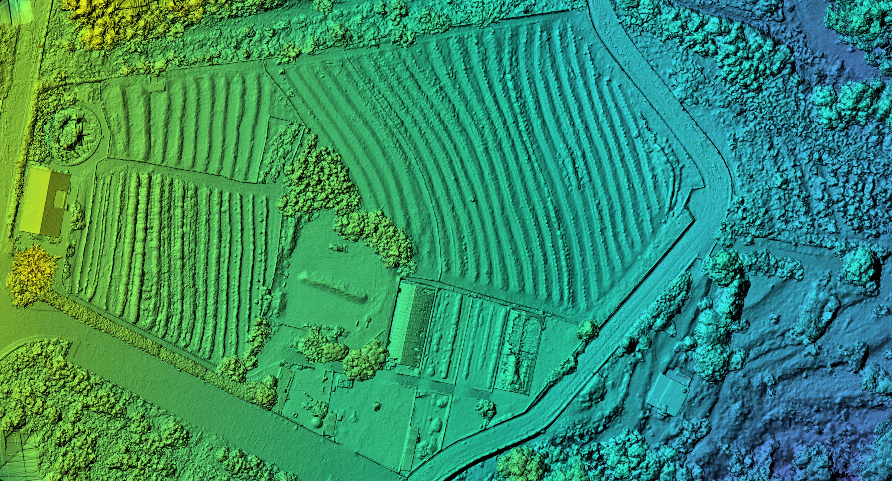 DSM elevation heatmap